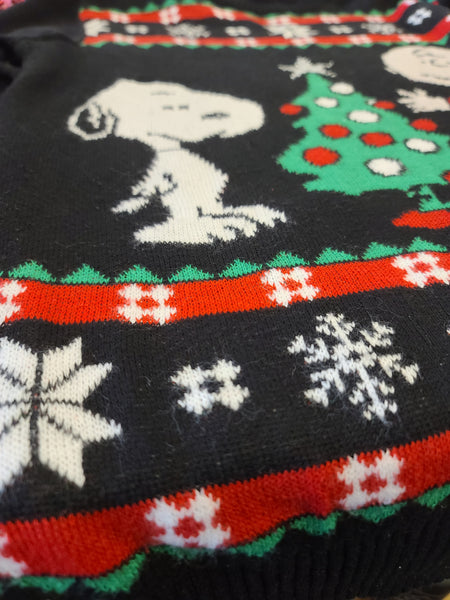 Peanuts collectable Charlie Brown and Snoopy Christmas Sweater