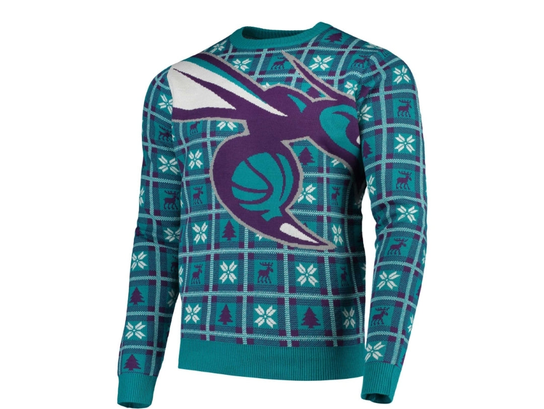 Charlotte Hornets Big Logo Sweater